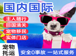 乌兰浩特义勒力特航空托运国际宠物托运 【国